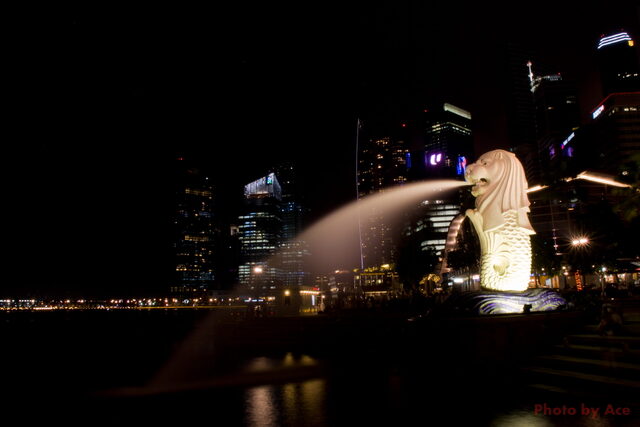 IMG_0664