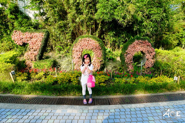 SAM_1583