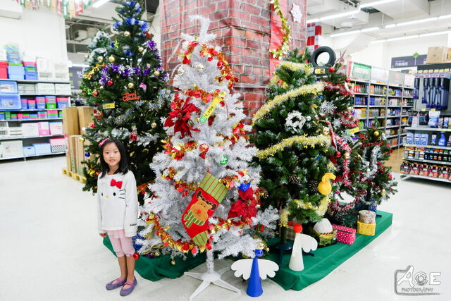 SAM_0868